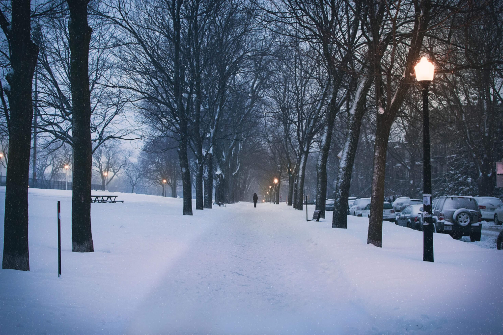 Snöskottning i Umeå